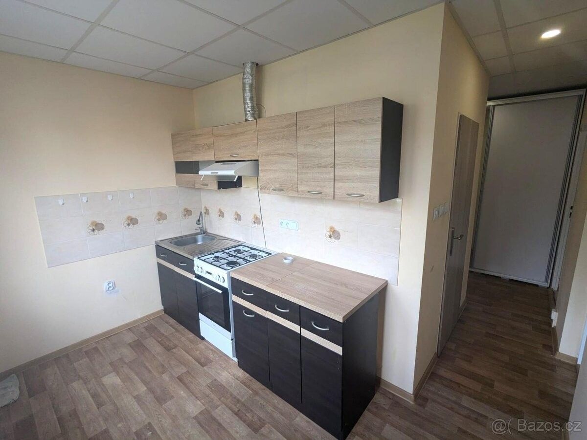 2+1, Bílina, 418 01, 55 m²