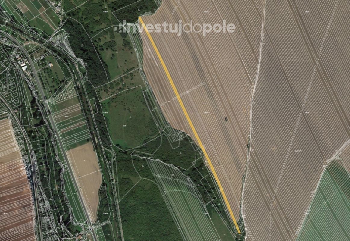 Prodej zemědělský pozemek - Velká nad Veličkou, 2 063 m²