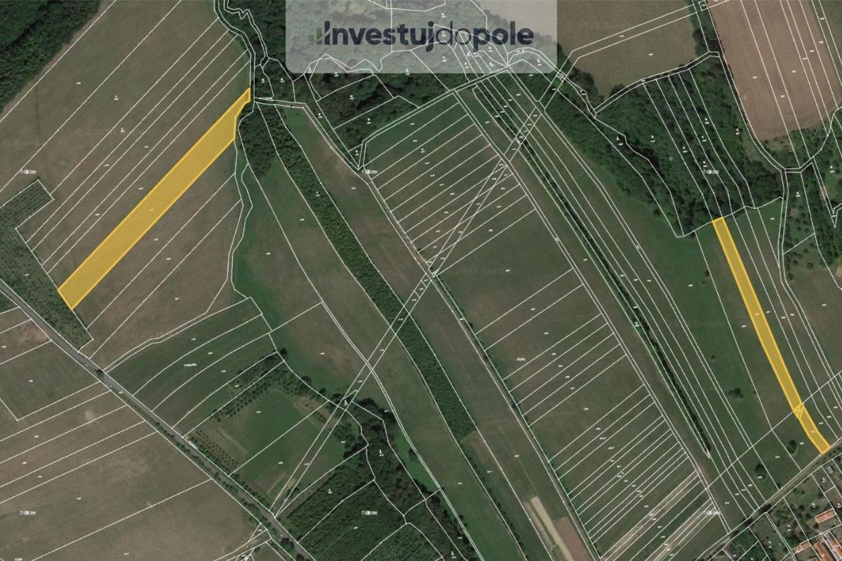 Prodej zemědělský pozemek - Police, 24 833 m²