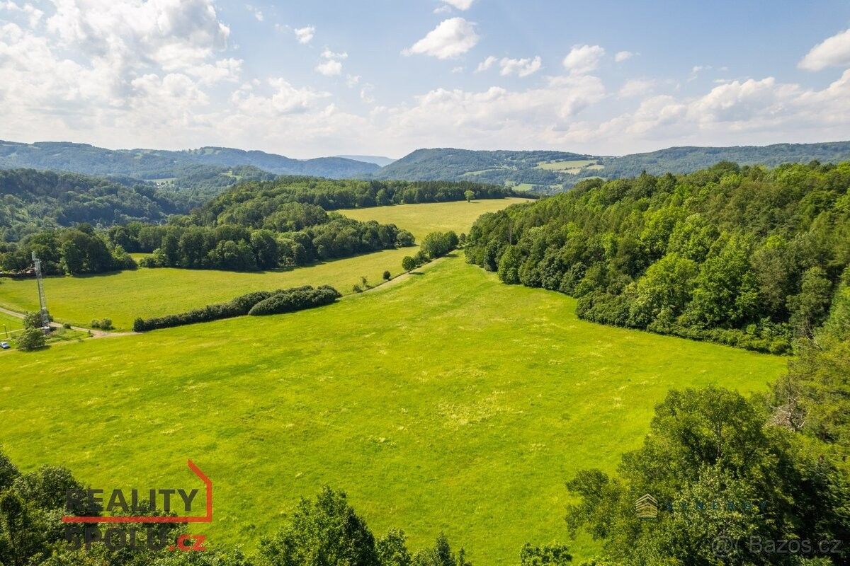 Prodej zemědělský pozemek - Benešov nad Ploučnicí, 407 22, 28 000 m²