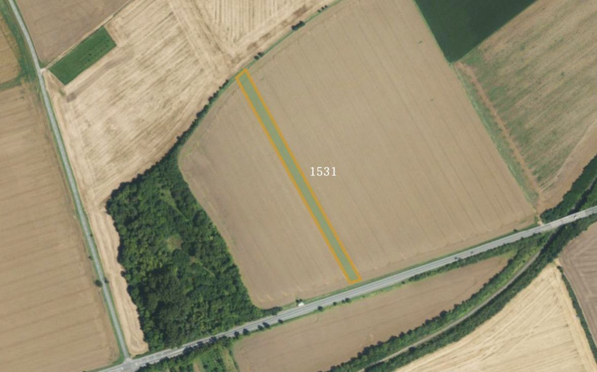 Prodej zemědělský pozemek - Rousínov u Vyškova, 683 01