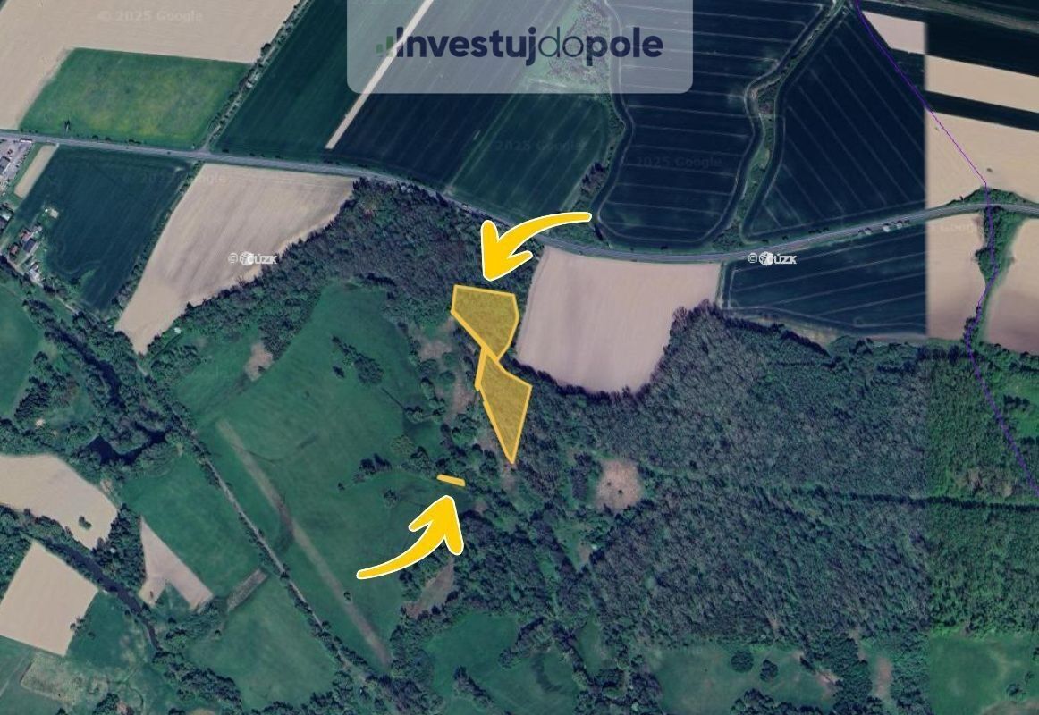 Prodej les - Kouty, Kravaře, 7 026 m²
