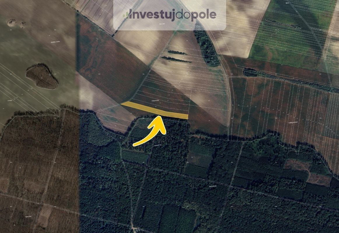 Prodej zemědělský pozemek - Mutěnice, 3 793 m²