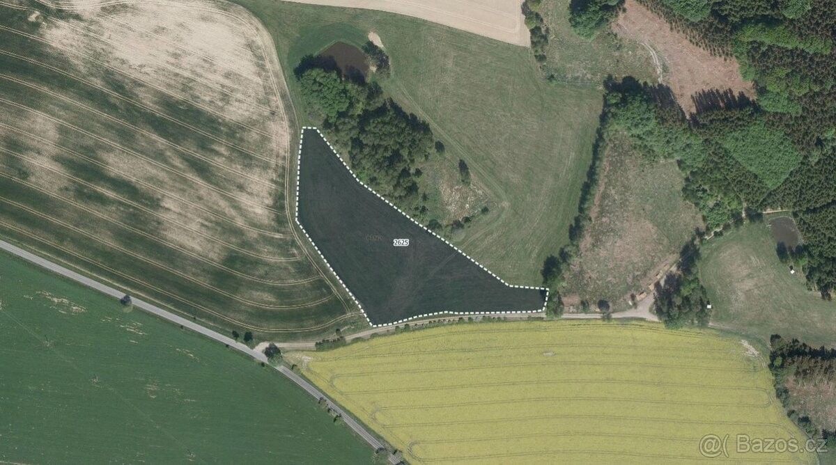 Zemědělské pozemky, Sázavka, 582 44, 41 149 m²