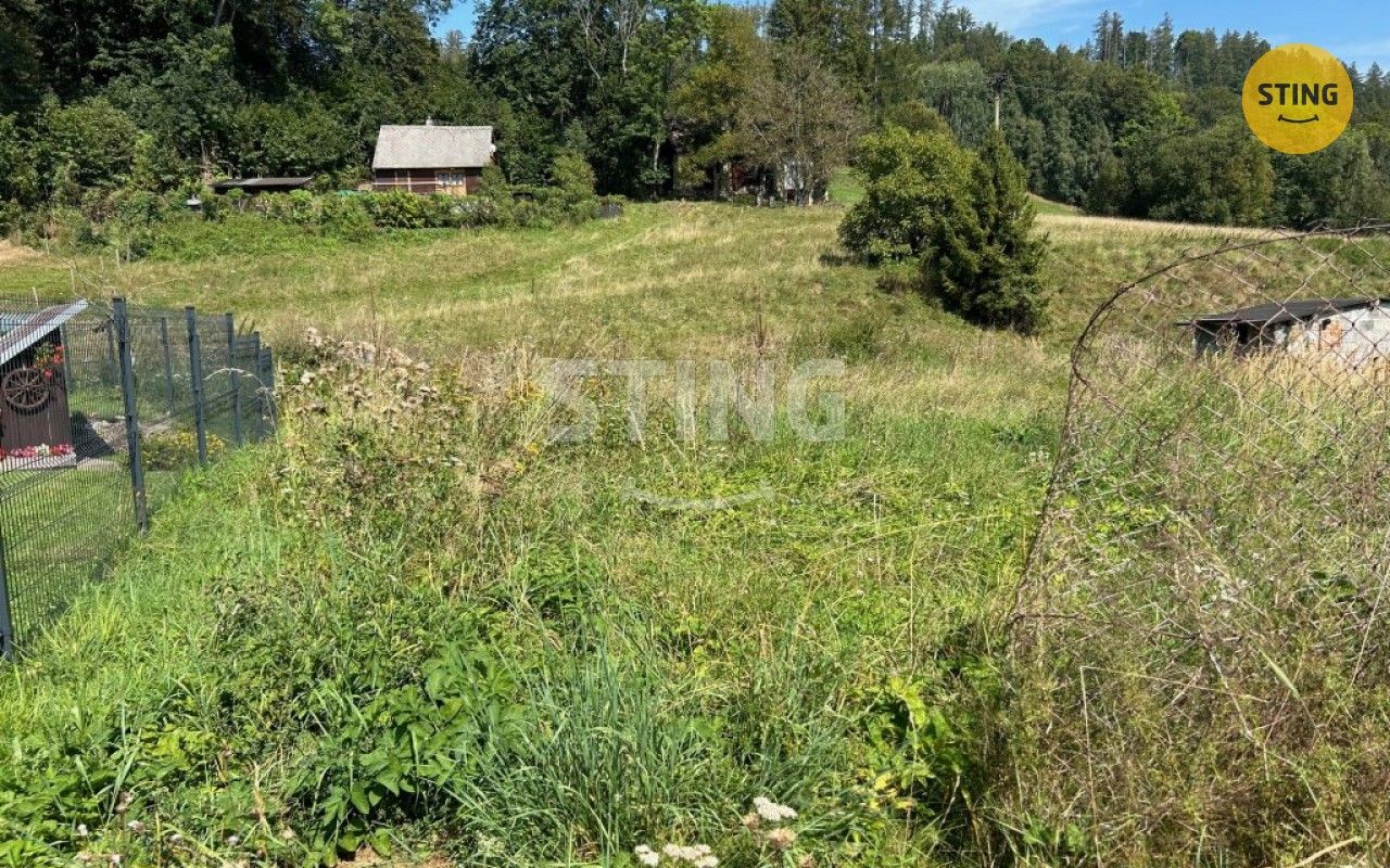 Prodej pozemek pro bydlení - Hynčice, Město Albrechtice, 2 296 m²