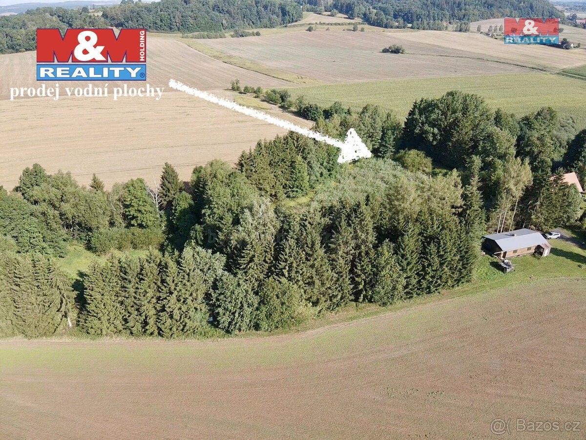 Ostatní, Rychnov nad Kněžnou, 516 01, 5 965 m²