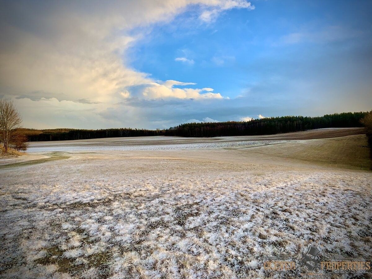 Prodej zahrada - Holice v Čechách, 534 01, 190 m²