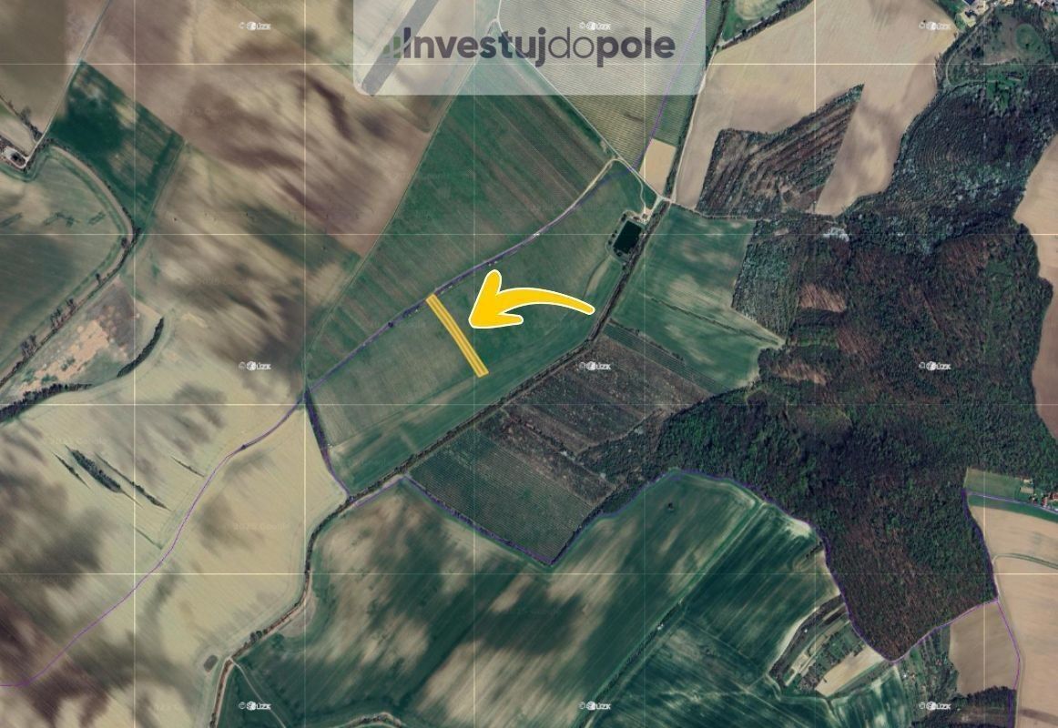 Prodej pozemek - Nechvalín, 4 582 m²