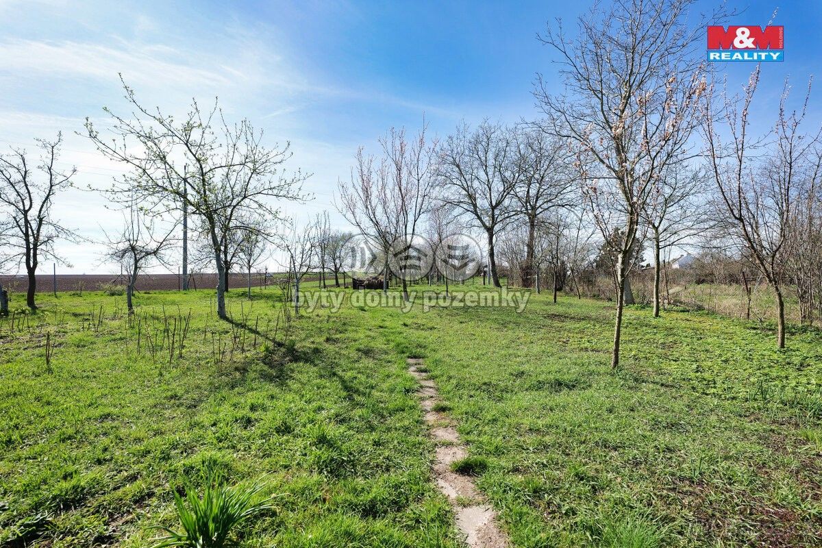 Prodej zahrada - Polkovice, 751 44, 1 542 m²