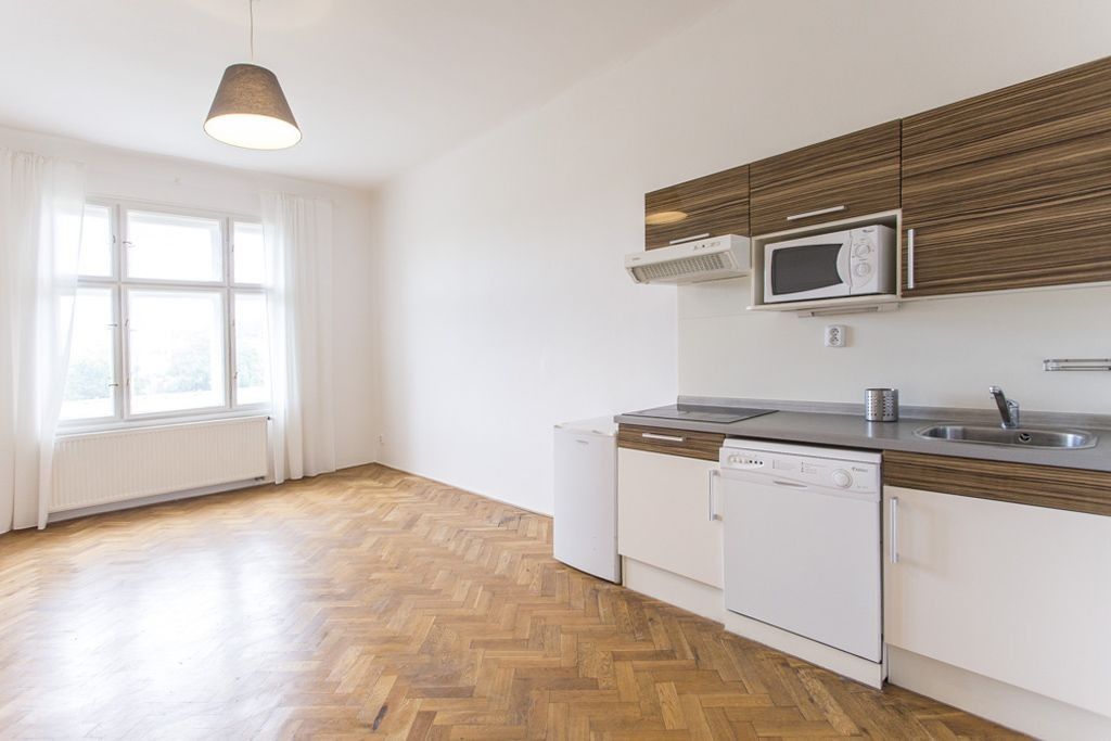 2+kk, U invalidovny, Praha, 55 m²