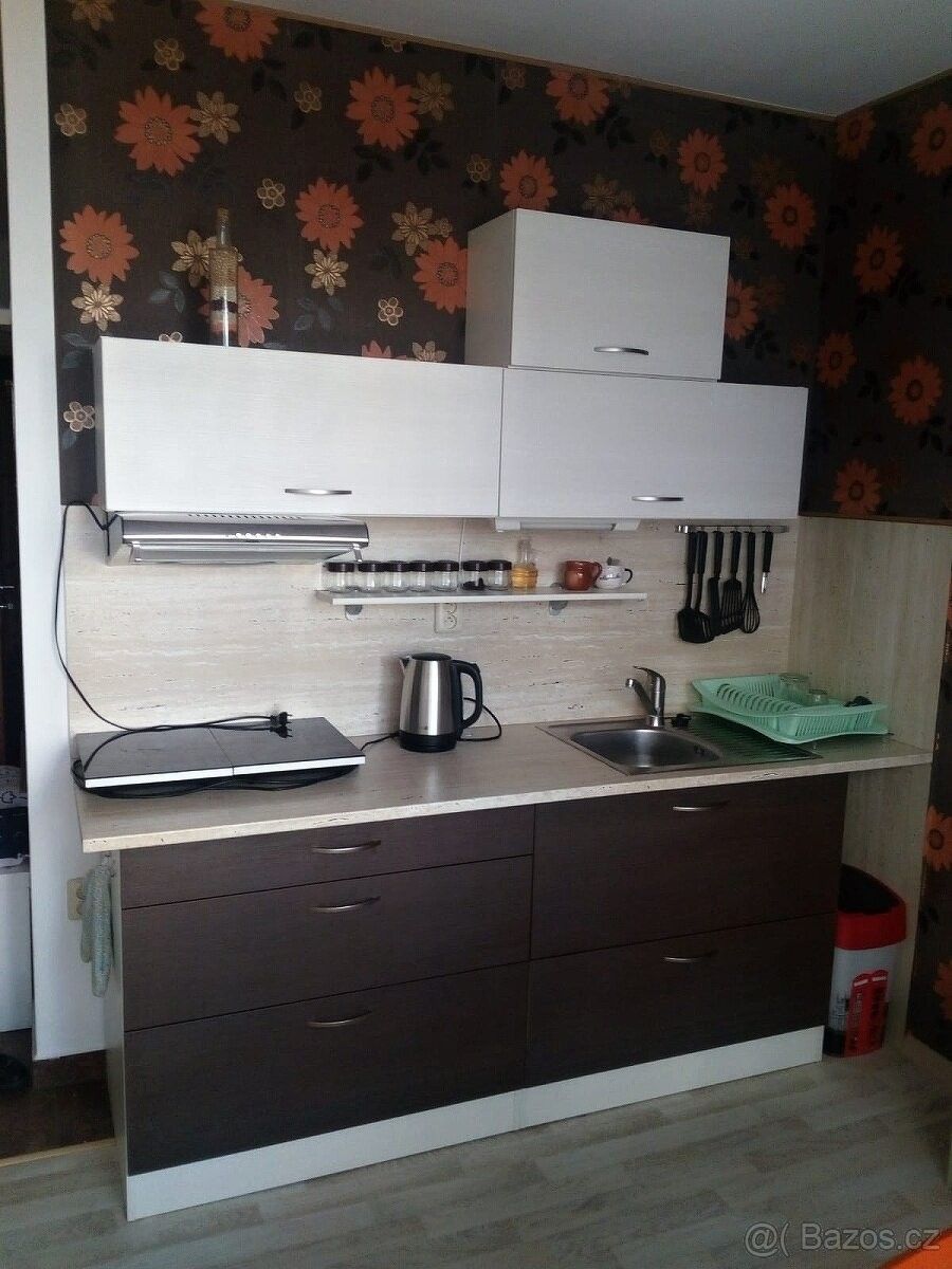 1+1, Rychnov nad Kněžnou, 516 01, 41 m²