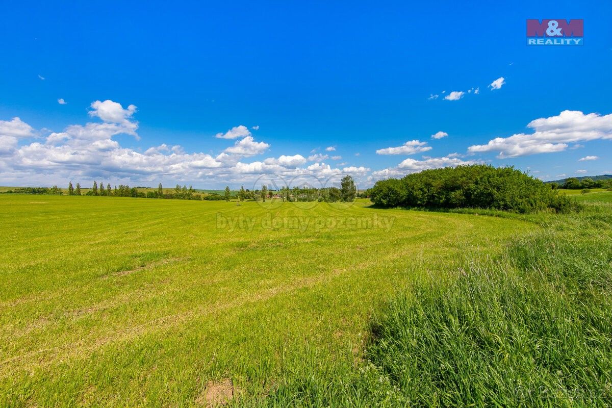 Prodej louka - Blížejov, 345 45, 2 373 m²