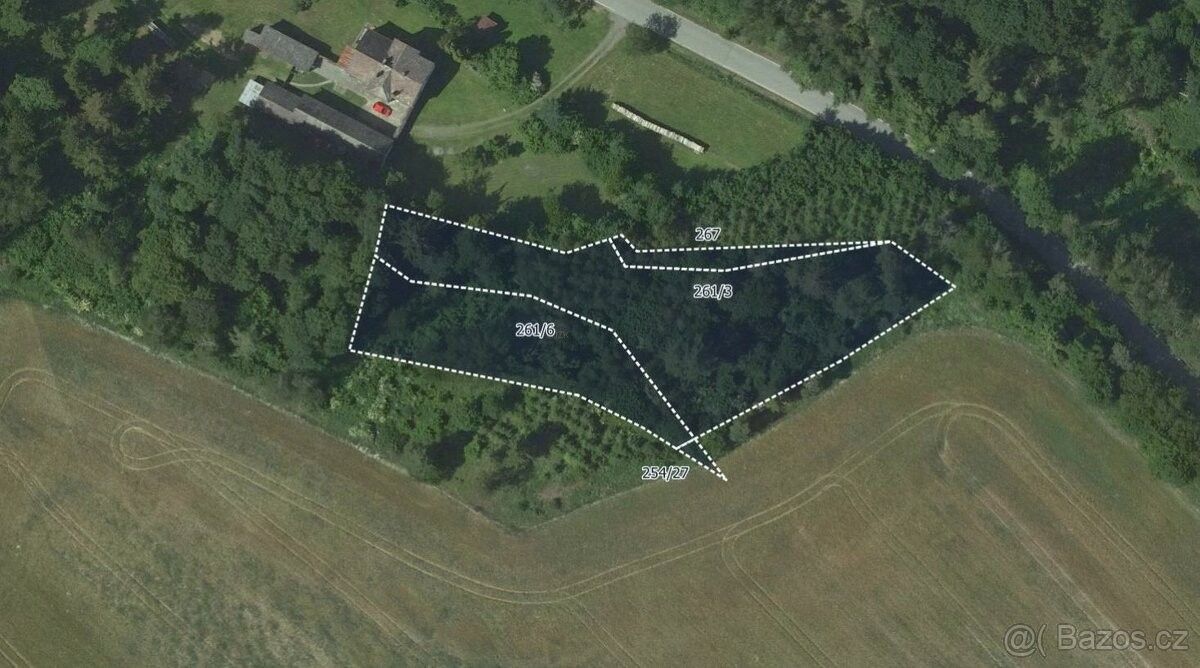 Prodej zemědělský pozemek - Rozstání, 798 62, 11 251 m²