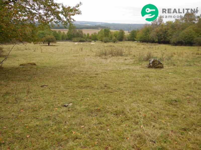 Prodej pozemek pro bydlení - Konstantinovy Lázně, 349 52, 4 000 m²