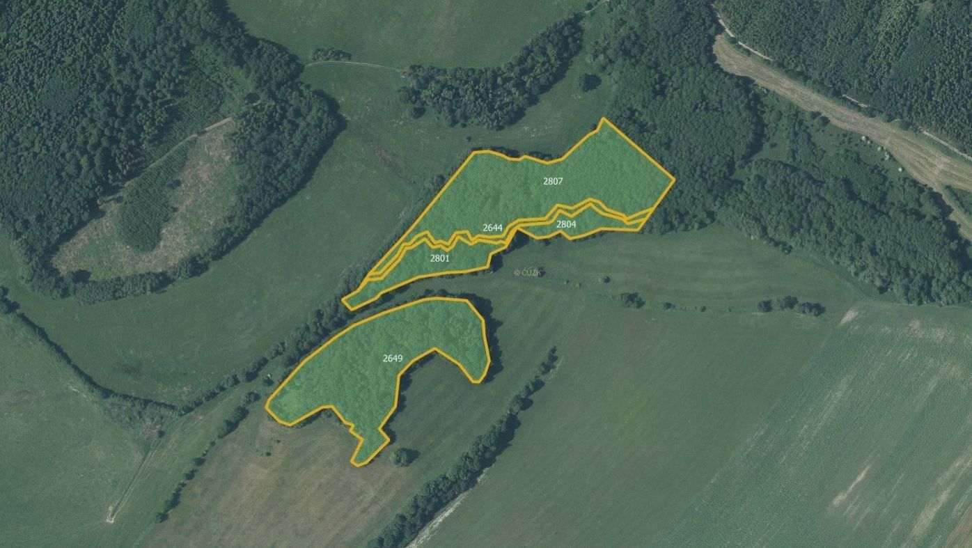 Lesy, Budišov nad Budišovkou, 40 440 m²