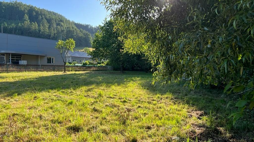 Pozemky pro bydlení, Olšany u Šumperka, 789 62, 924 m²