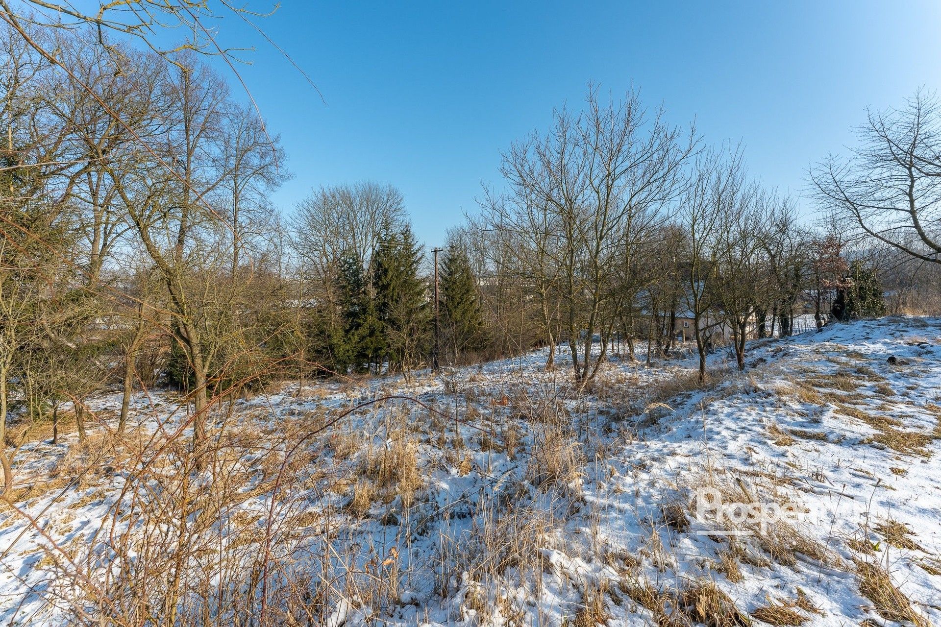 Pozemky pro bydlení, Boršov, Moravská Třebová, 4 902 m²