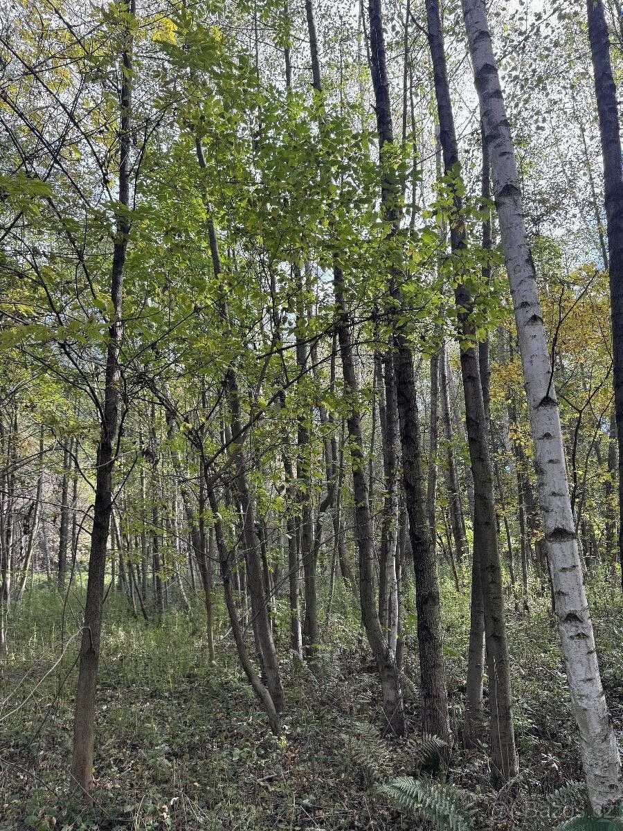 Prodej pozemek - Bohumín, 735 81, 1 009 m²