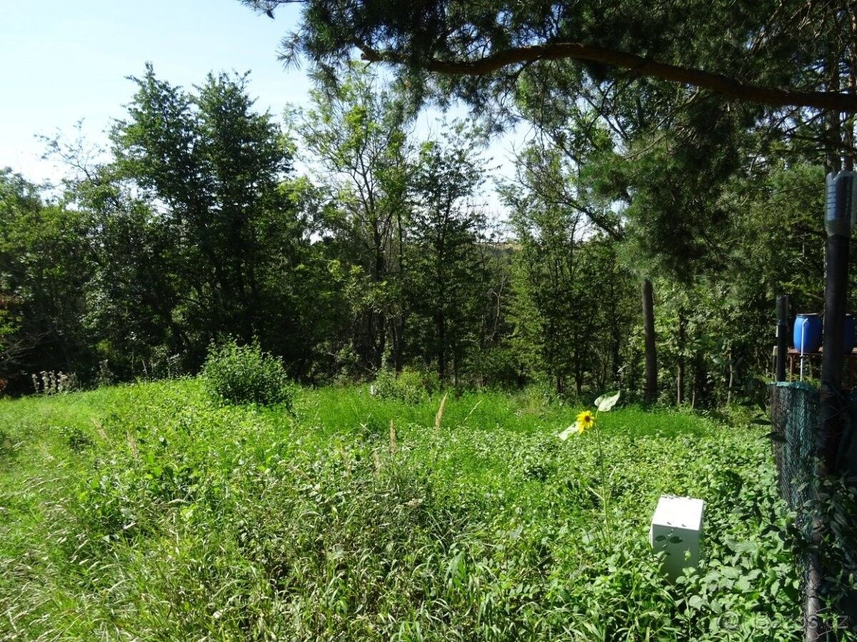 Ostatní, Smolnice, 439 14, 801 m²