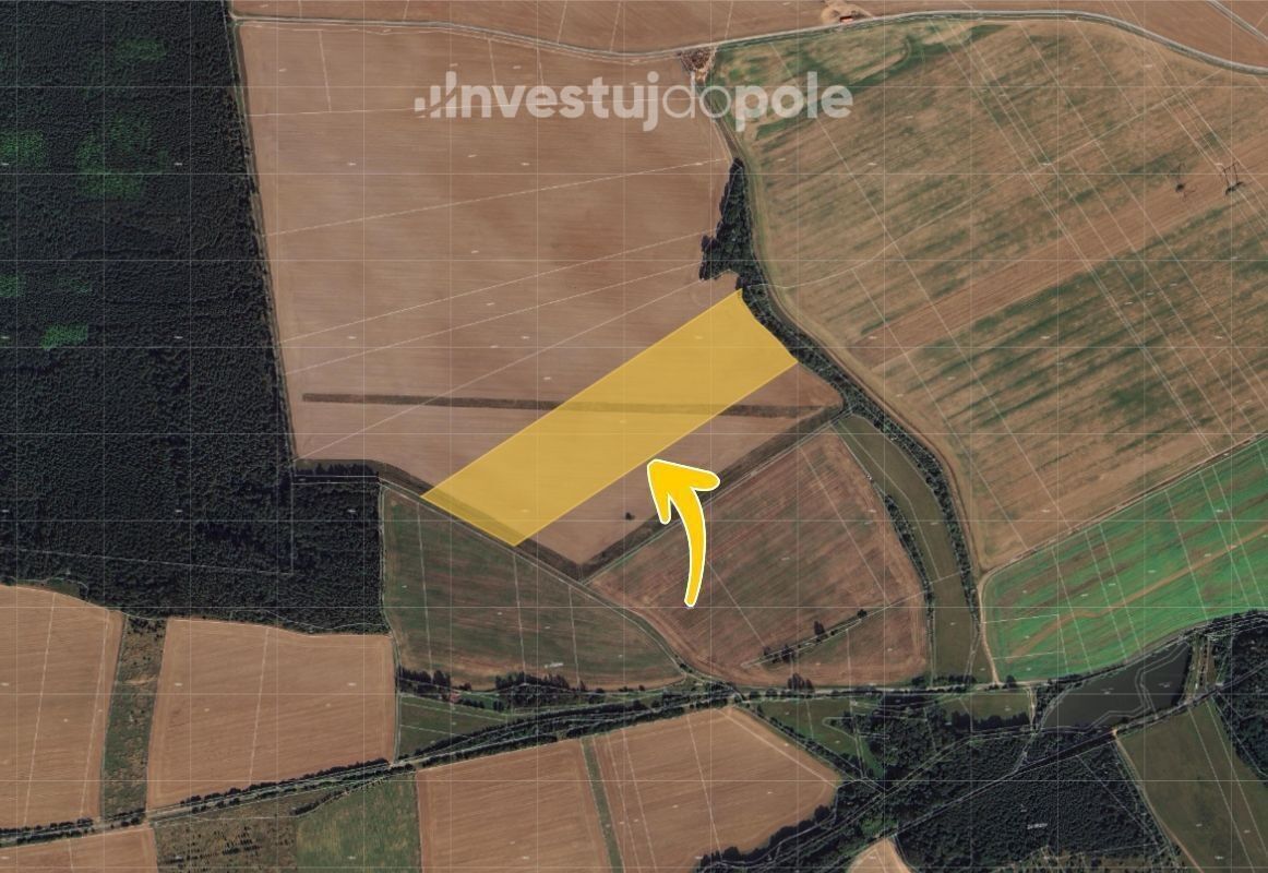 Prodej zemědělský pozemek - Šanov, 41 812 m²