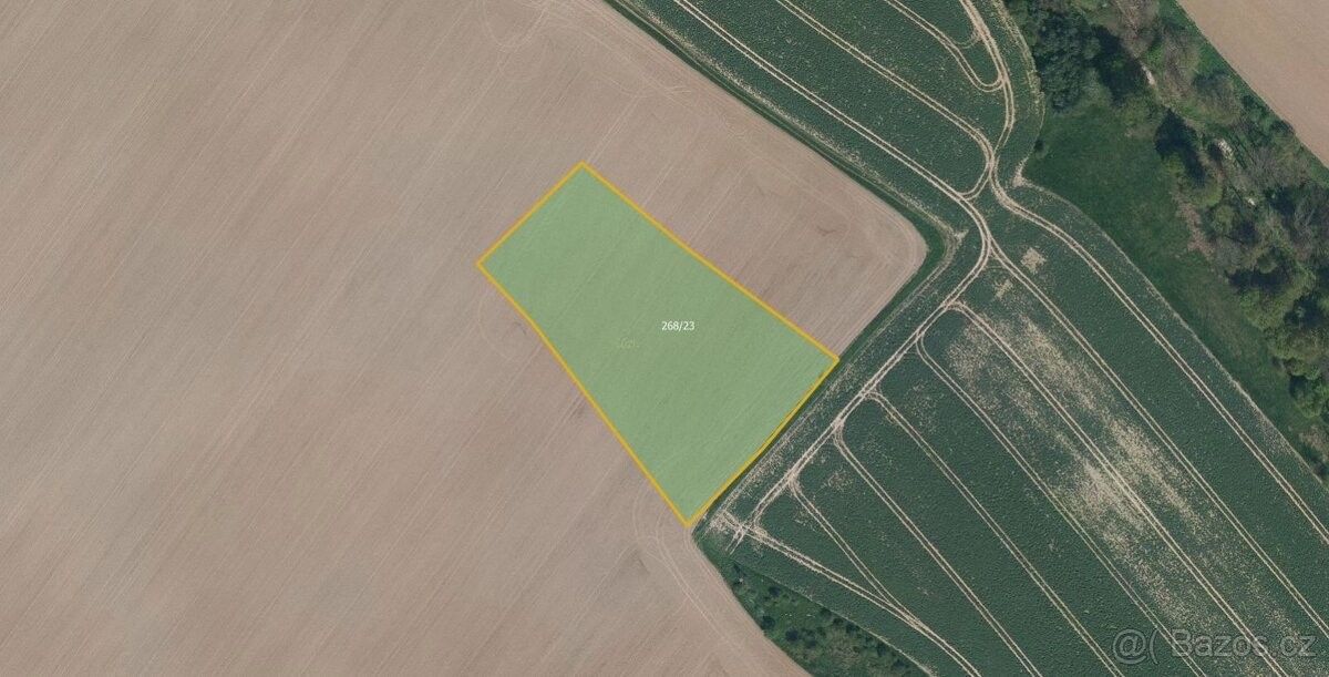 Zemědělské pozemky, Mnichovo Hradiště, 295 01