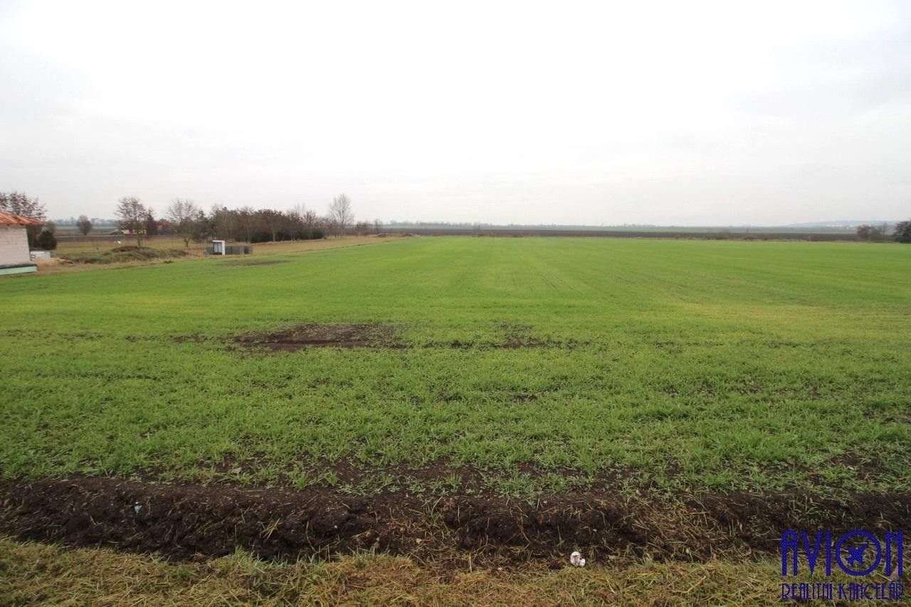 Prodej pozemek pro bydlení - Cítov, 3 178 m²