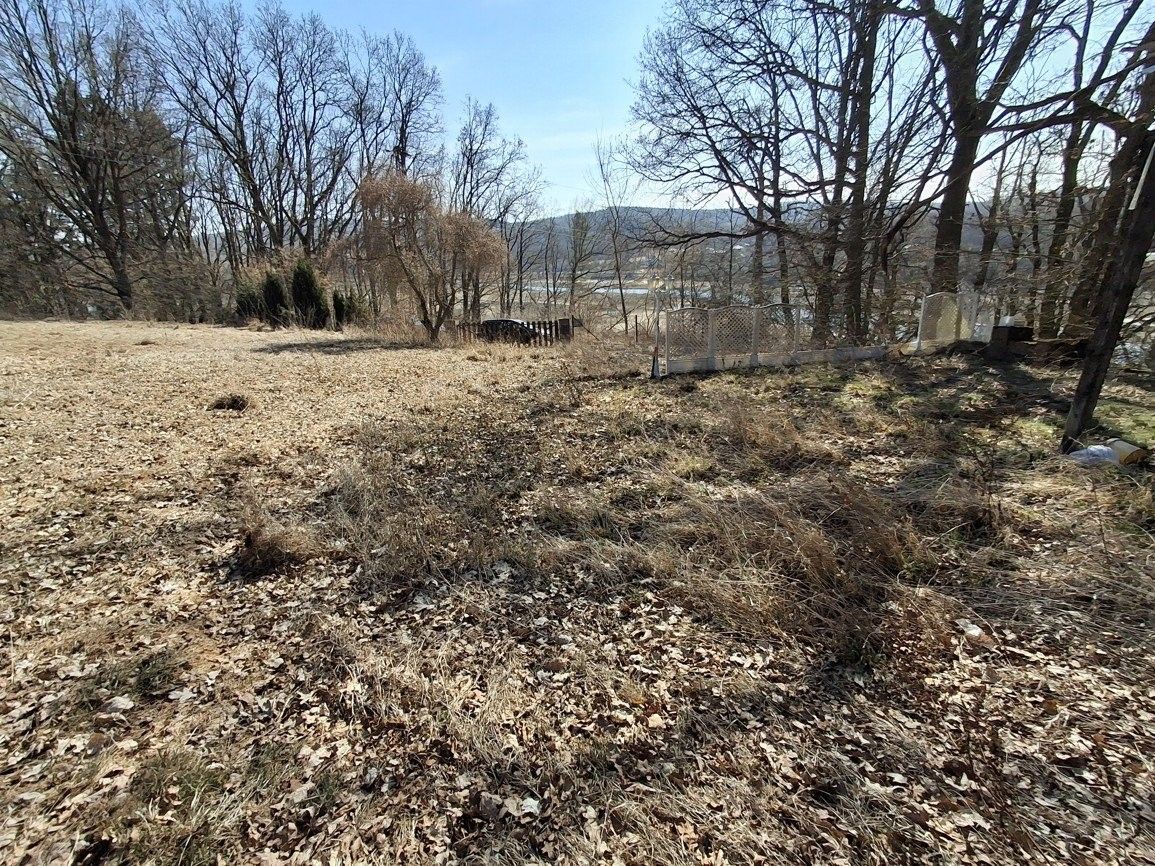 Pozemky pro bydlení, Bříza, Cheb, 3 452 m²