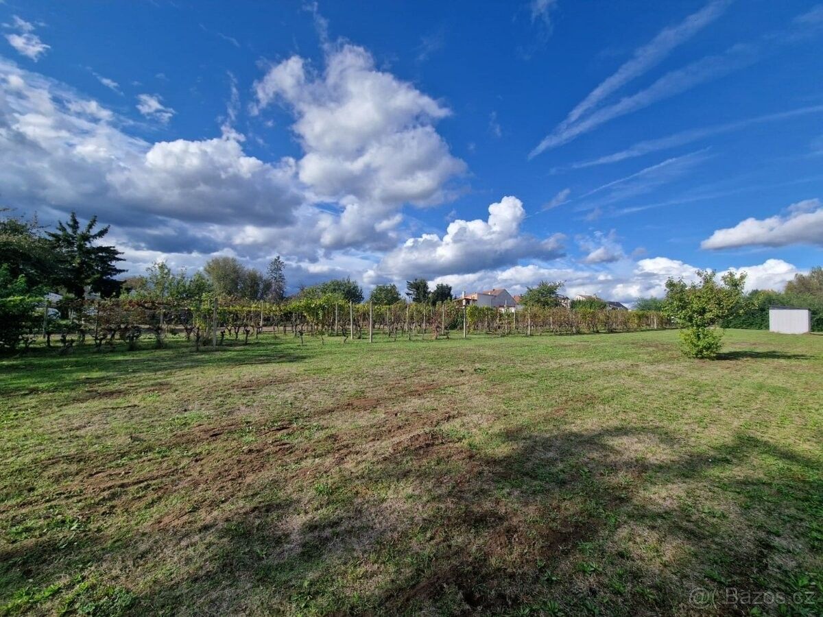 Prodej zahrada - Lužice u Hodonína, 696 18, 679 m²