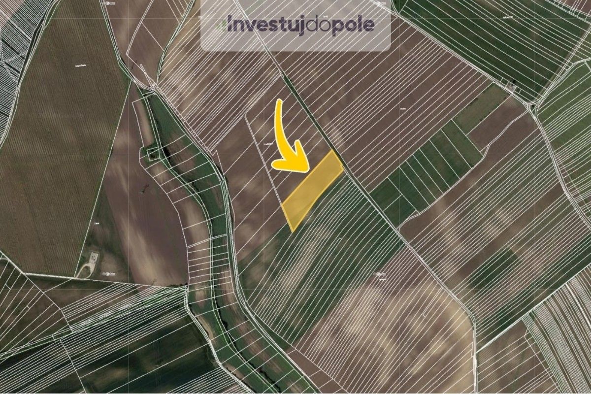 Prodej zemědělský pozemek - Nový Poddvorov, 11 711 m²