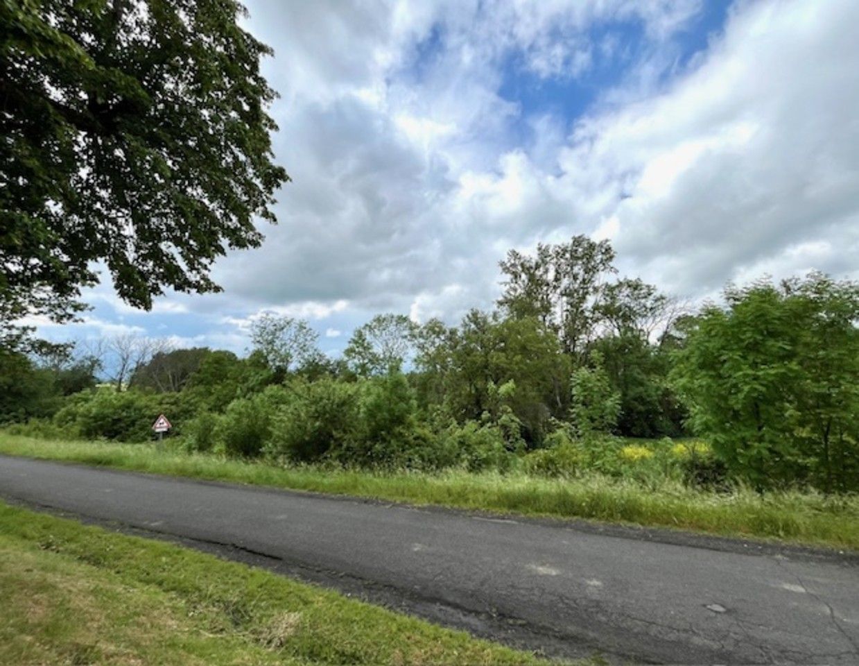 Lesy, Horní Řepčice, 17 720 m²