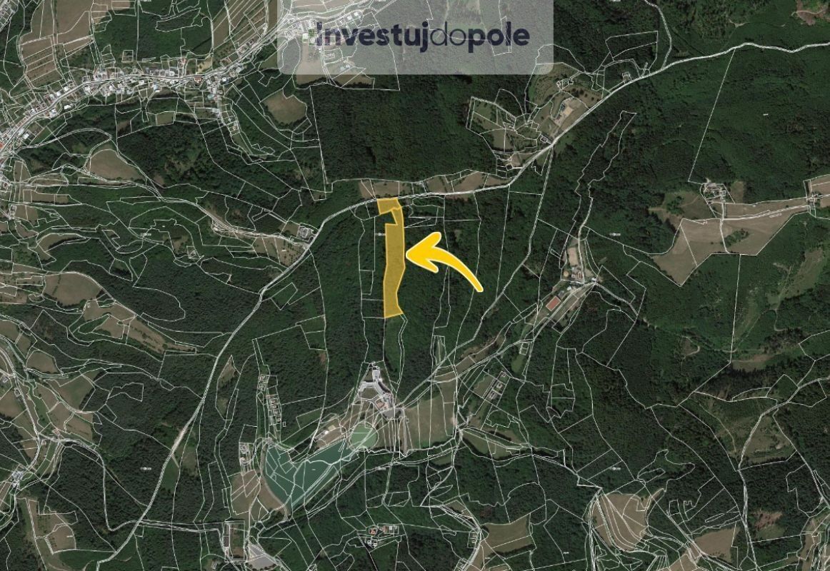 Prodej les - Všemina, 21 494 m²