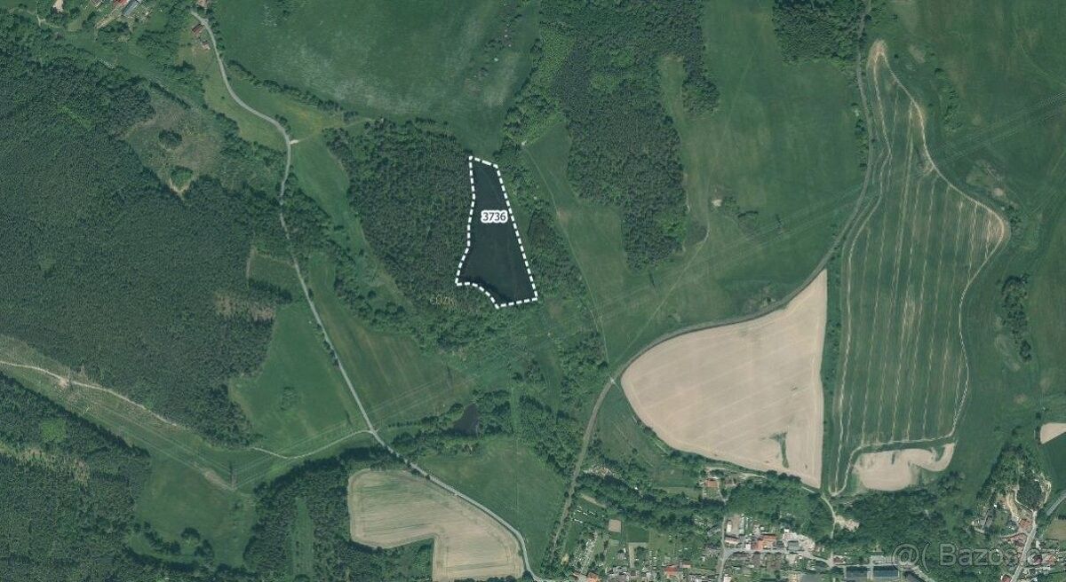 Zemědělské pozemky, Bor u Tachova, 348 02, 21 501 m²
