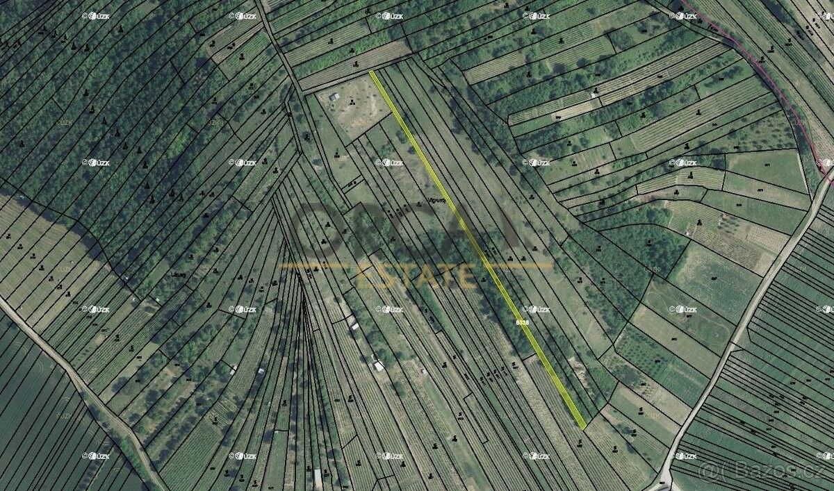 Ostatní, Kobylí na Moravě, 691 10, 1 306 m²