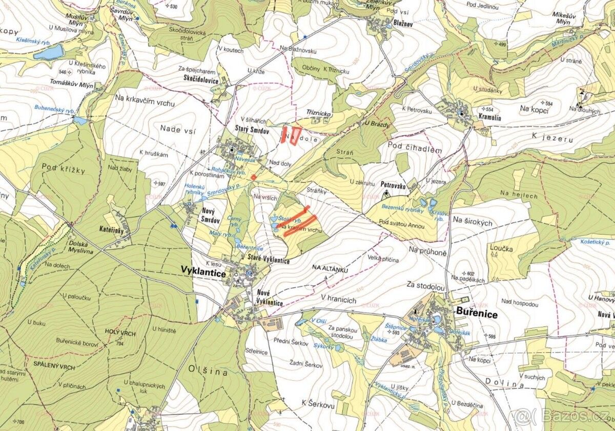 Prodej zemědělský pozemek - Vyklantice, 394 27