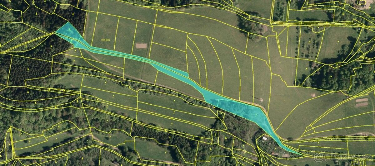 Prodej les - Valašská Polanka, 756 11, 3 085 m²