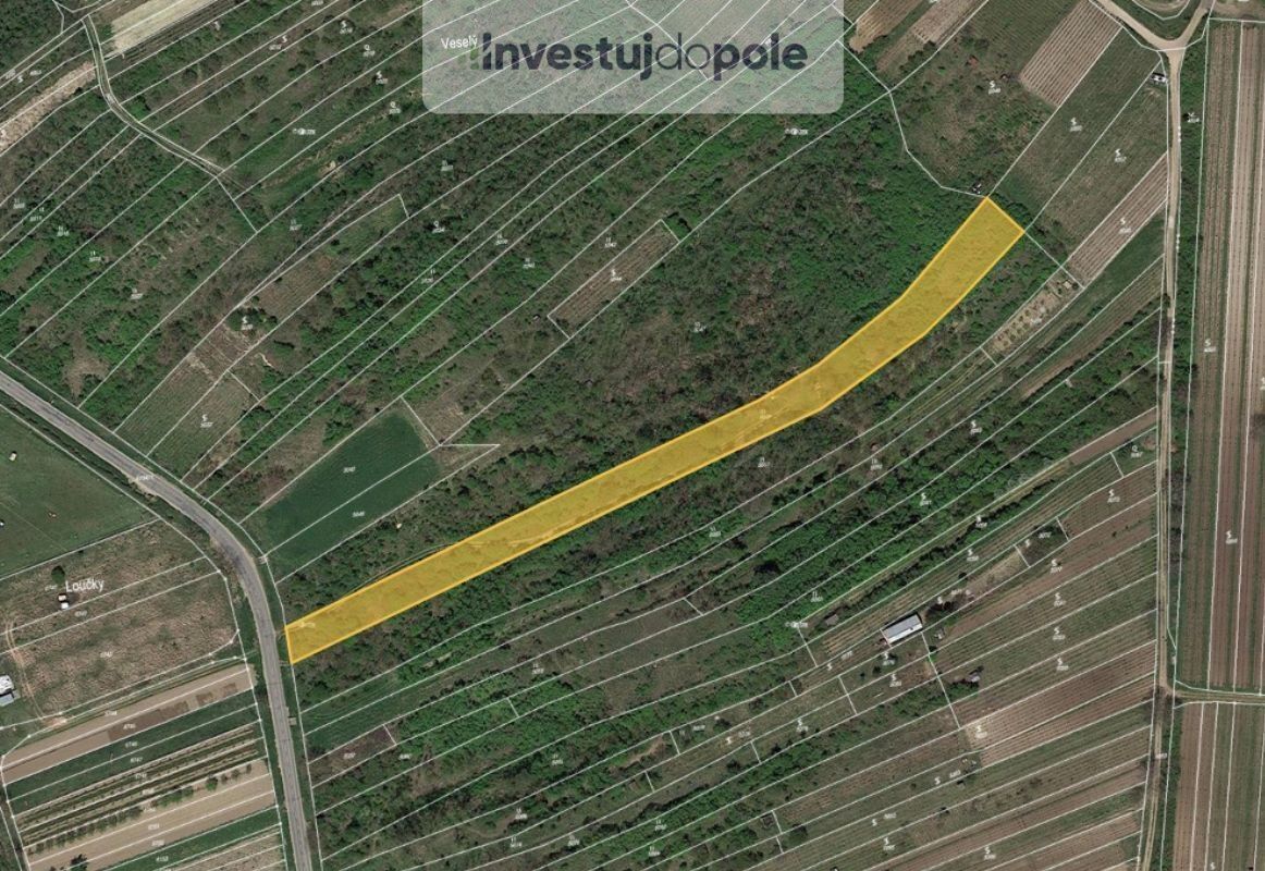 Louky, Němčičky, 3 570 m²