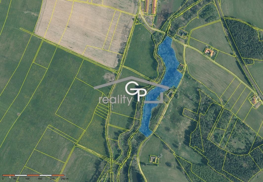 Prodej pozemek - Dvory nad Lužnicí, 378 08, 39 597 m²