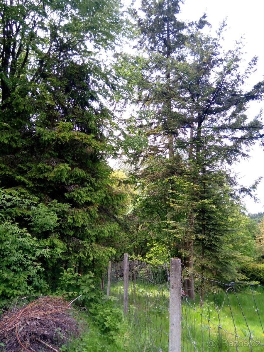 Lesy, Břidličná, 793 51, 579 m²