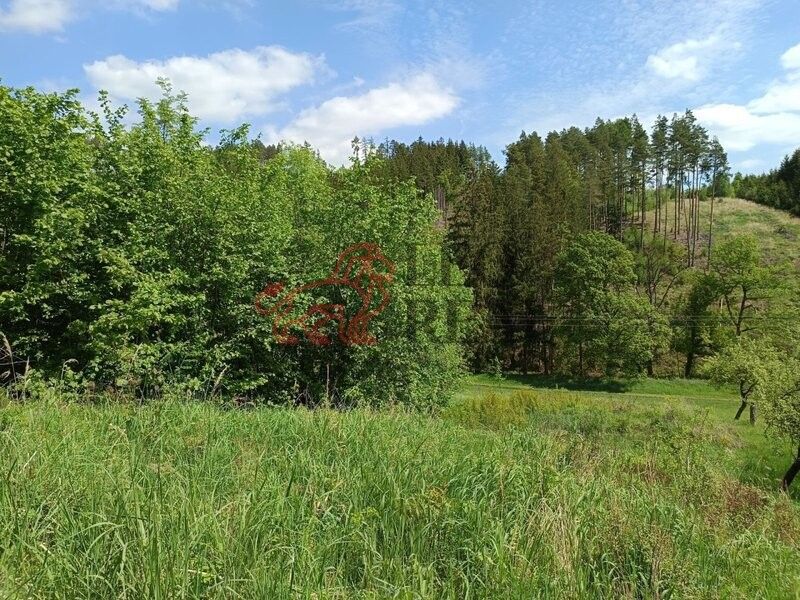 Prodej pozemek pro bydlení - Jevíčko, 569 43, 4 075 m²
