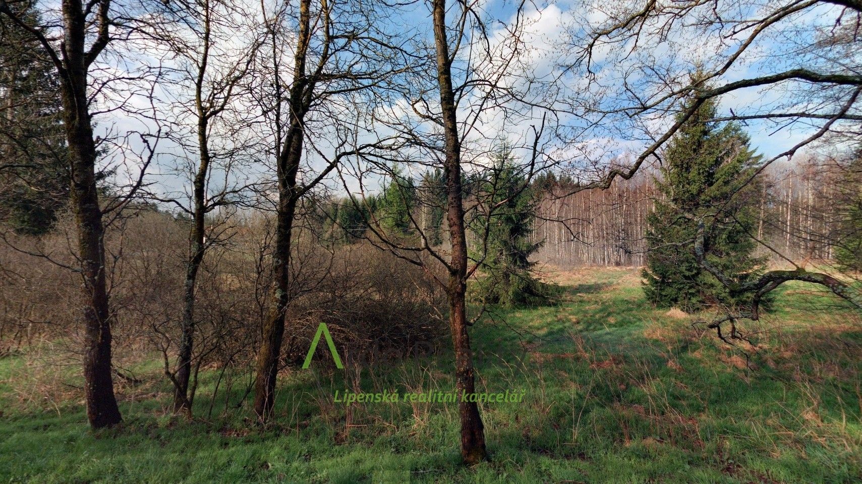 Prodej pozemek - Přední Výtoň, 13 889 m²