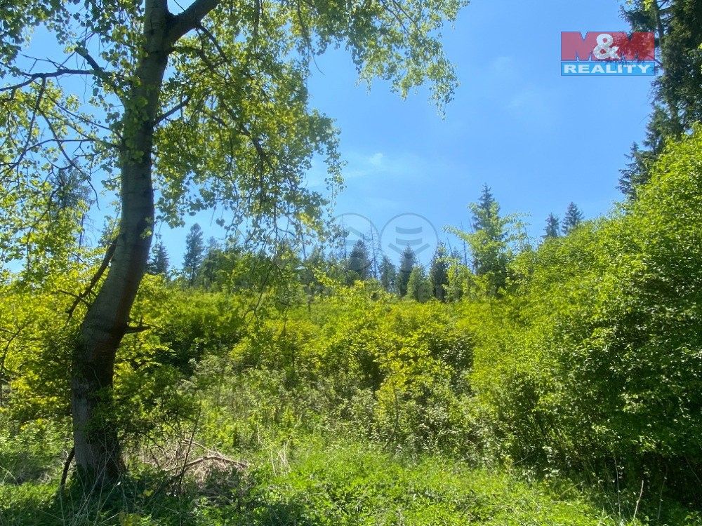 Lesy, Sušno, Kropáčova Vrutice, 15 167 m²