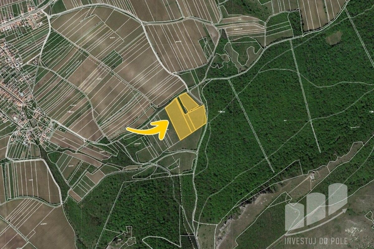 Prodej louka - Horní Věstonice, 29 829 m²