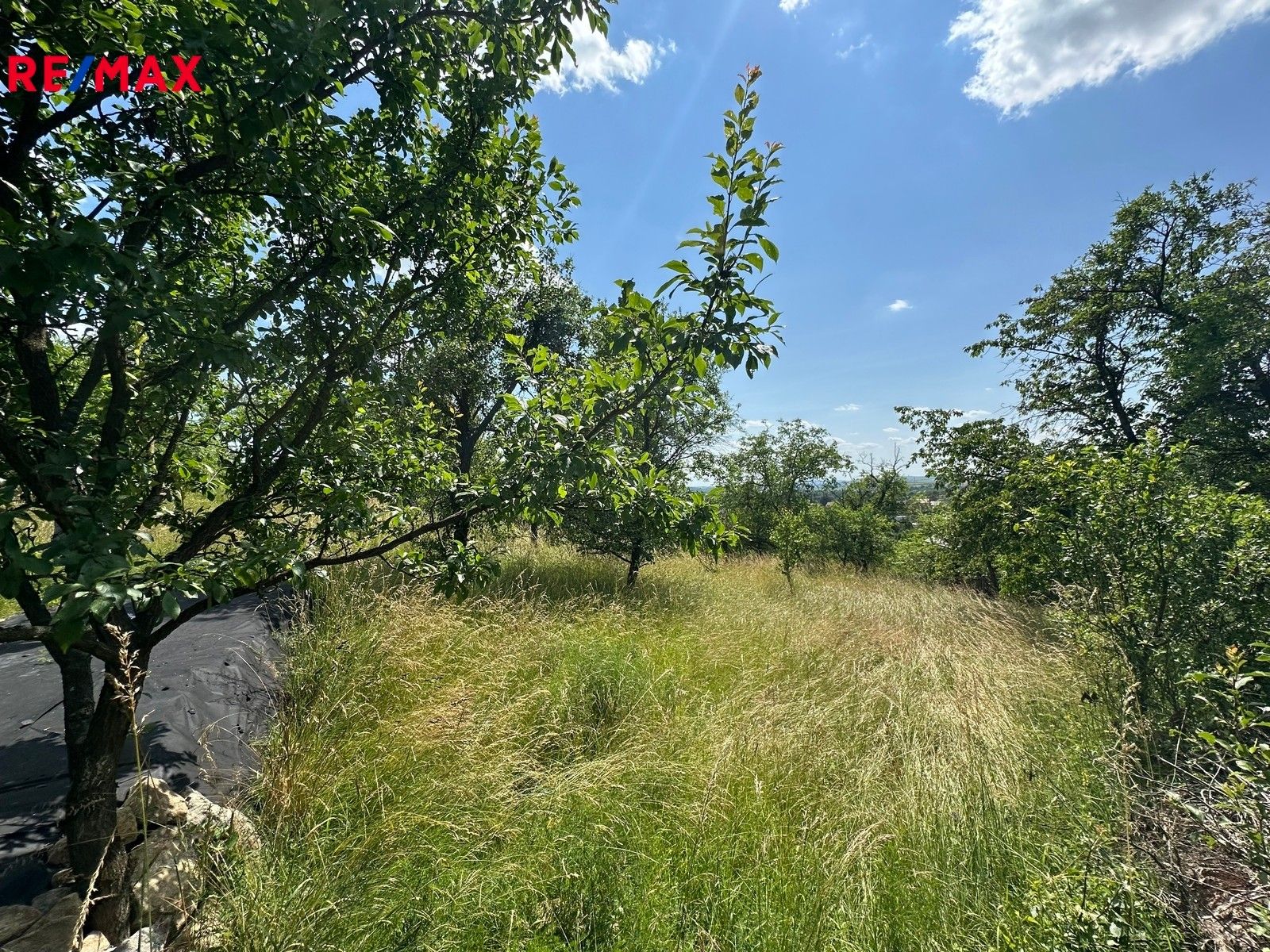 Zahrady, Slavkov u Brna, 539 m²