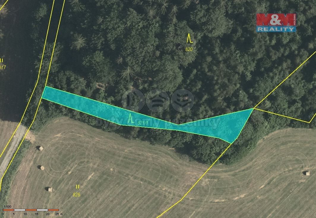 Prodej les - Zábřeh, 789 01, 78 705 m²