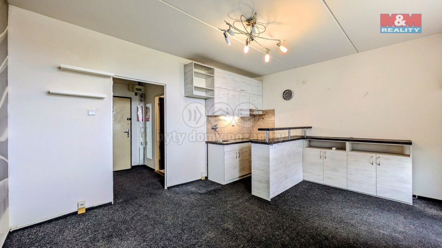 1+kk, Svídnická, Praha, 28 m²