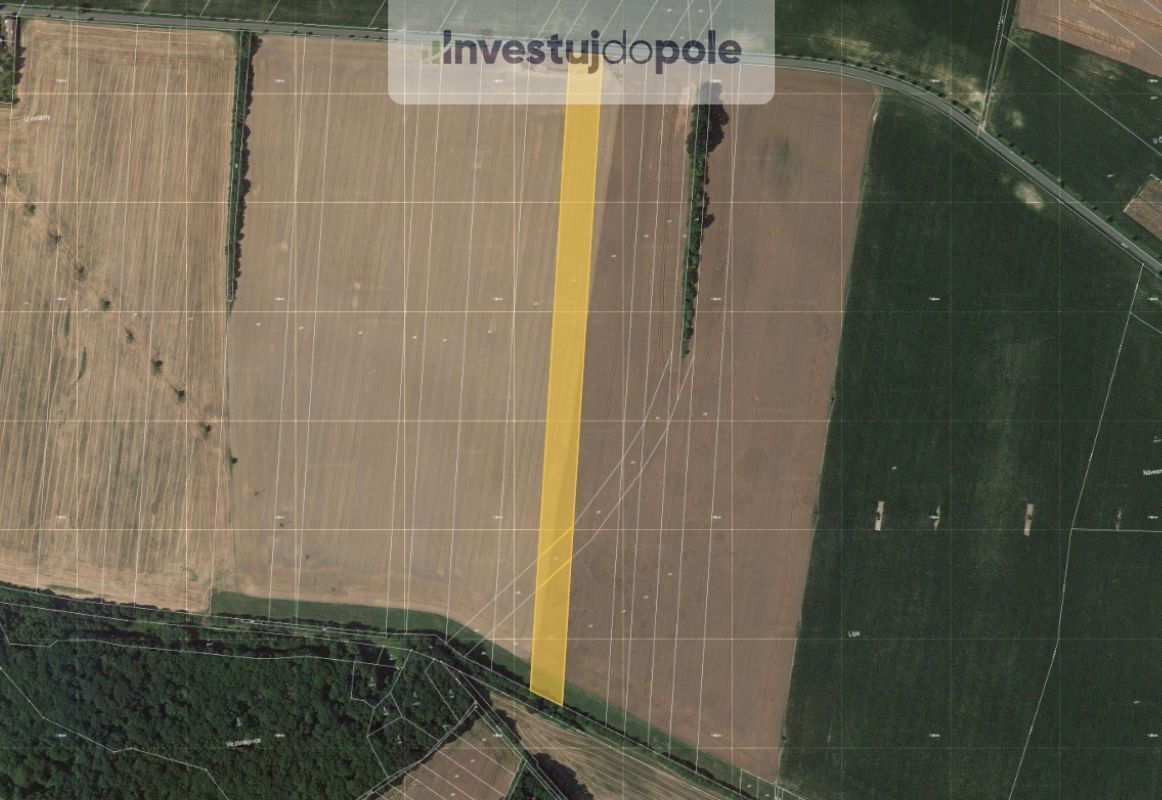 Zemědělské pozemky, Nová Telib, 16 716 m²