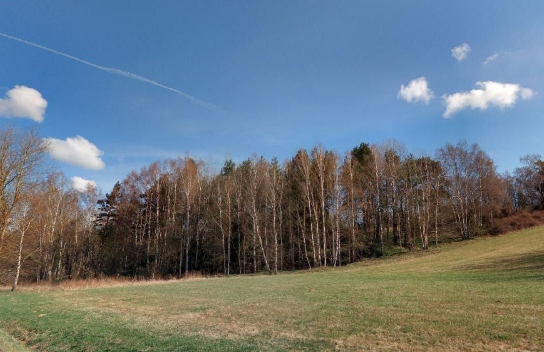 Prodej louka - Hošťka, 22 911 m²