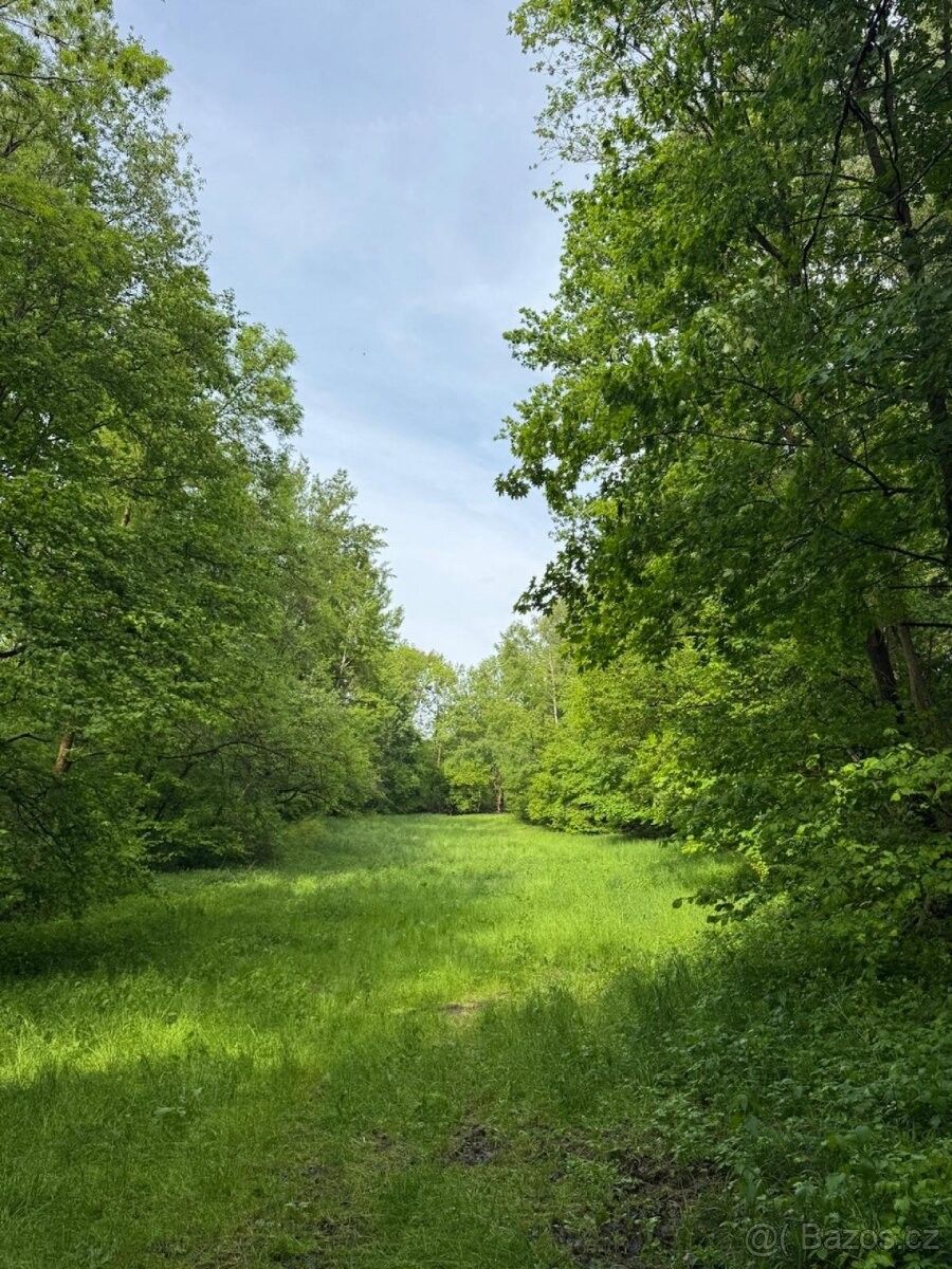 Prodej les - Český Dub, 463 43, 10 398 m²