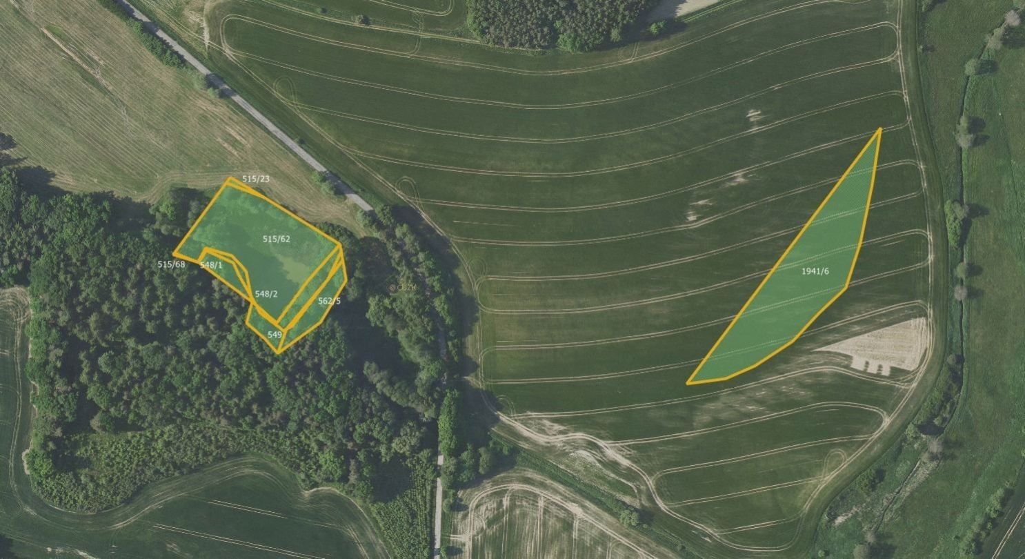 Zemědělské pozemky, Kobylí a Plchov, Bystřice, 38 022 m²