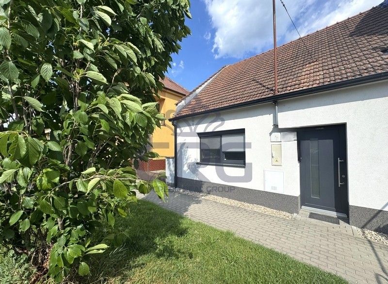 Ostatní, Hrušovany u Brna, 664 62, 241 m²